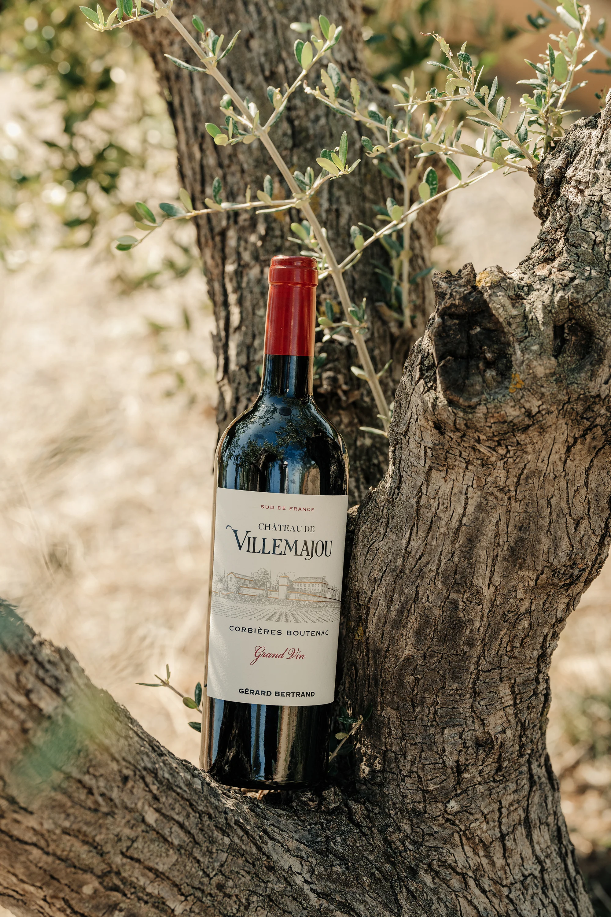 Château de Villemajou Grand Vin Rouge Boutenac 75cl 2015 - Image 5