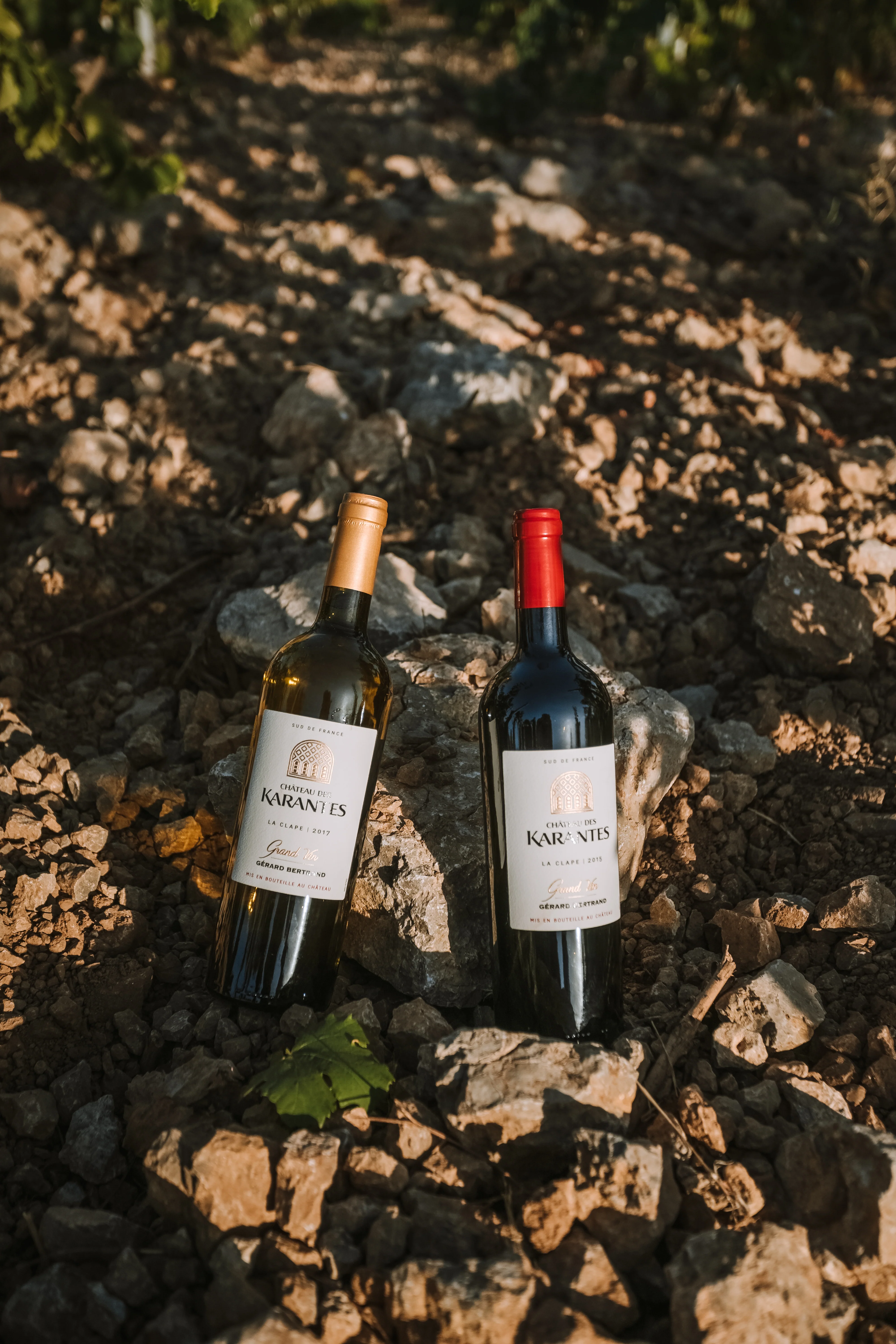 Château des Karantes Grand Vin blanc La Clape 2023 75cl - Image 2