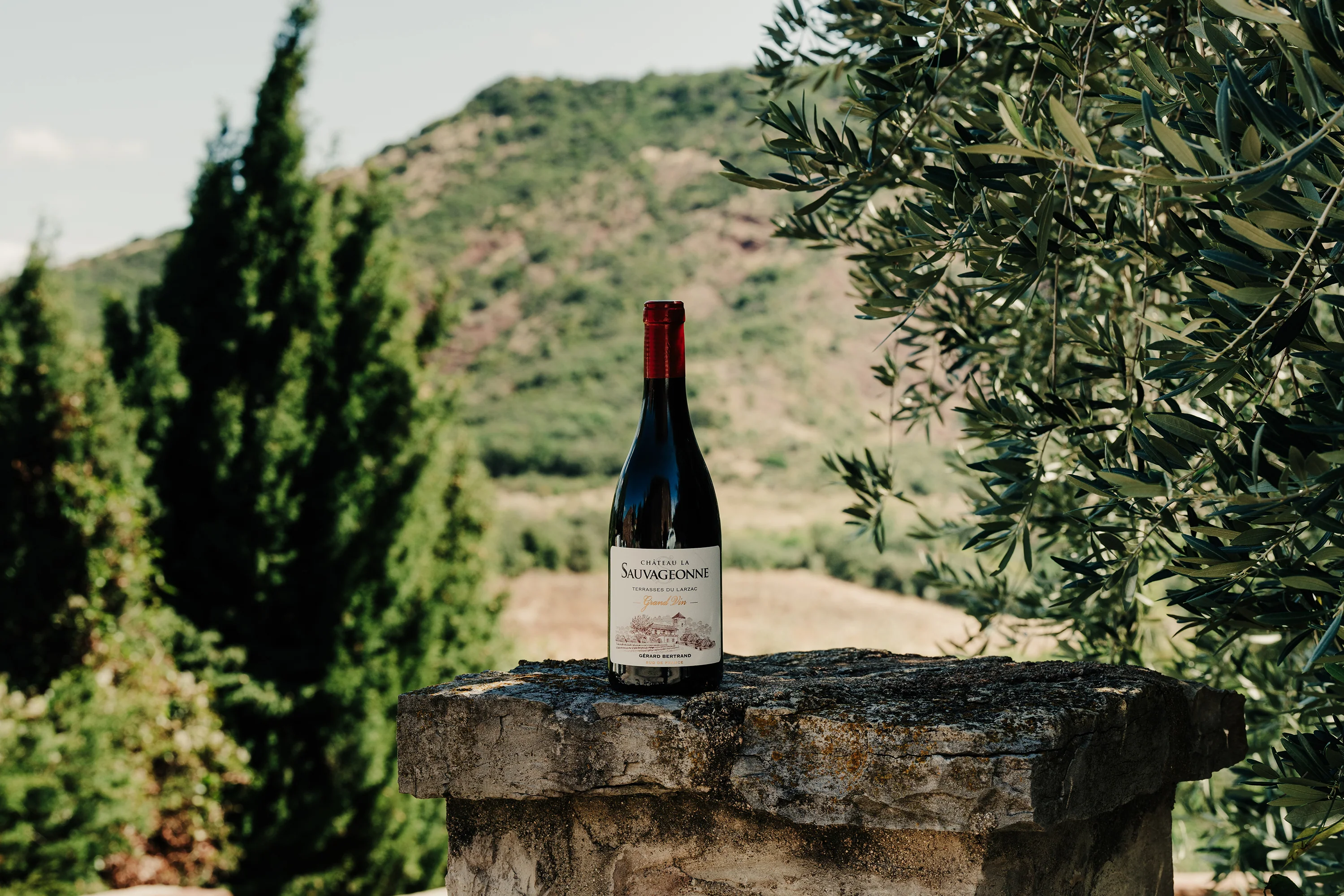 Château La Sauvageonne Grand Vin 2023 vin rouge biodynamique Terrasses du Larzac Caisse bois 6 bouteilles 75cl - Image 5
