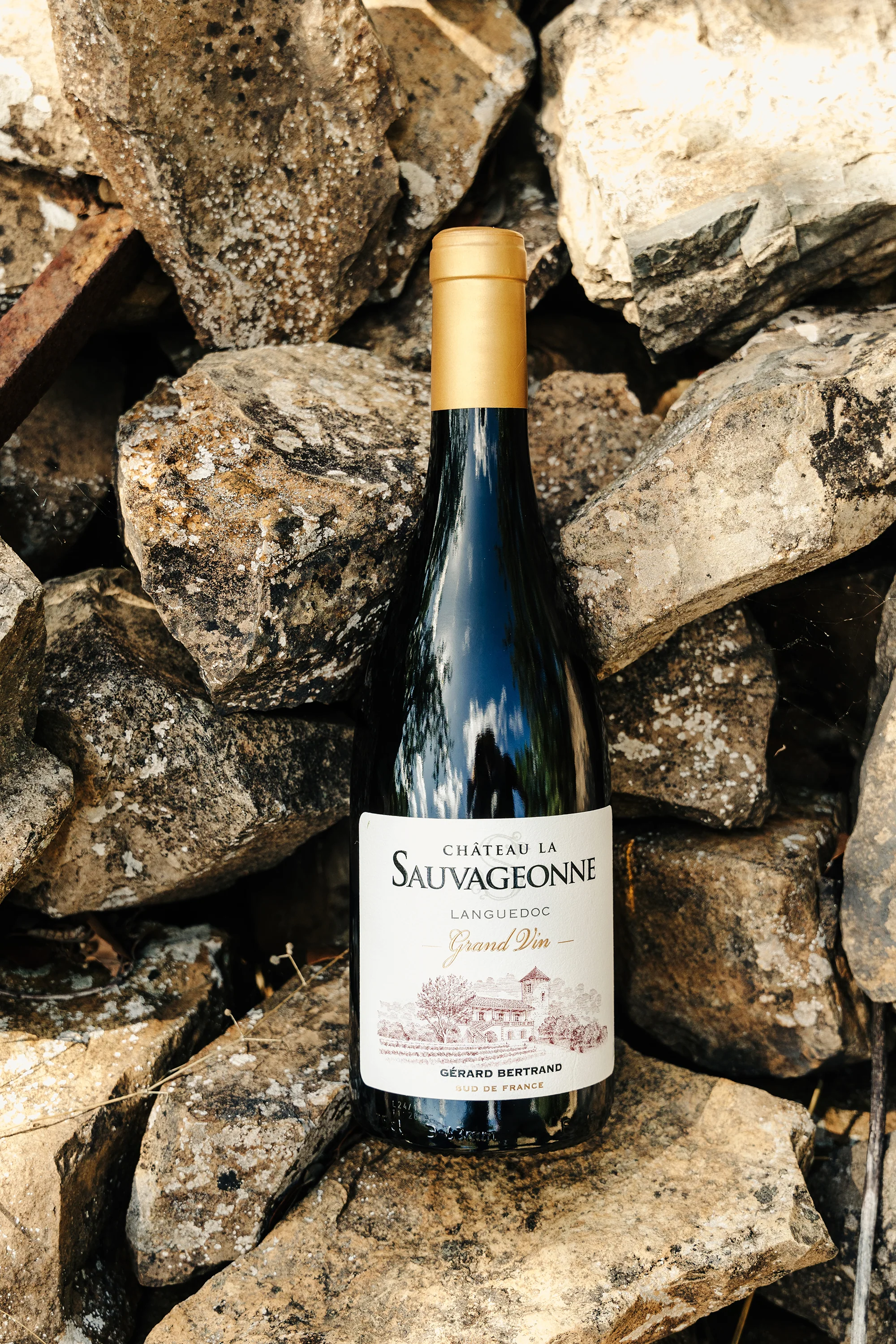Château La Sauvageonne Grand Vin 2024 75cl vin blanc biodynamique - Image 3