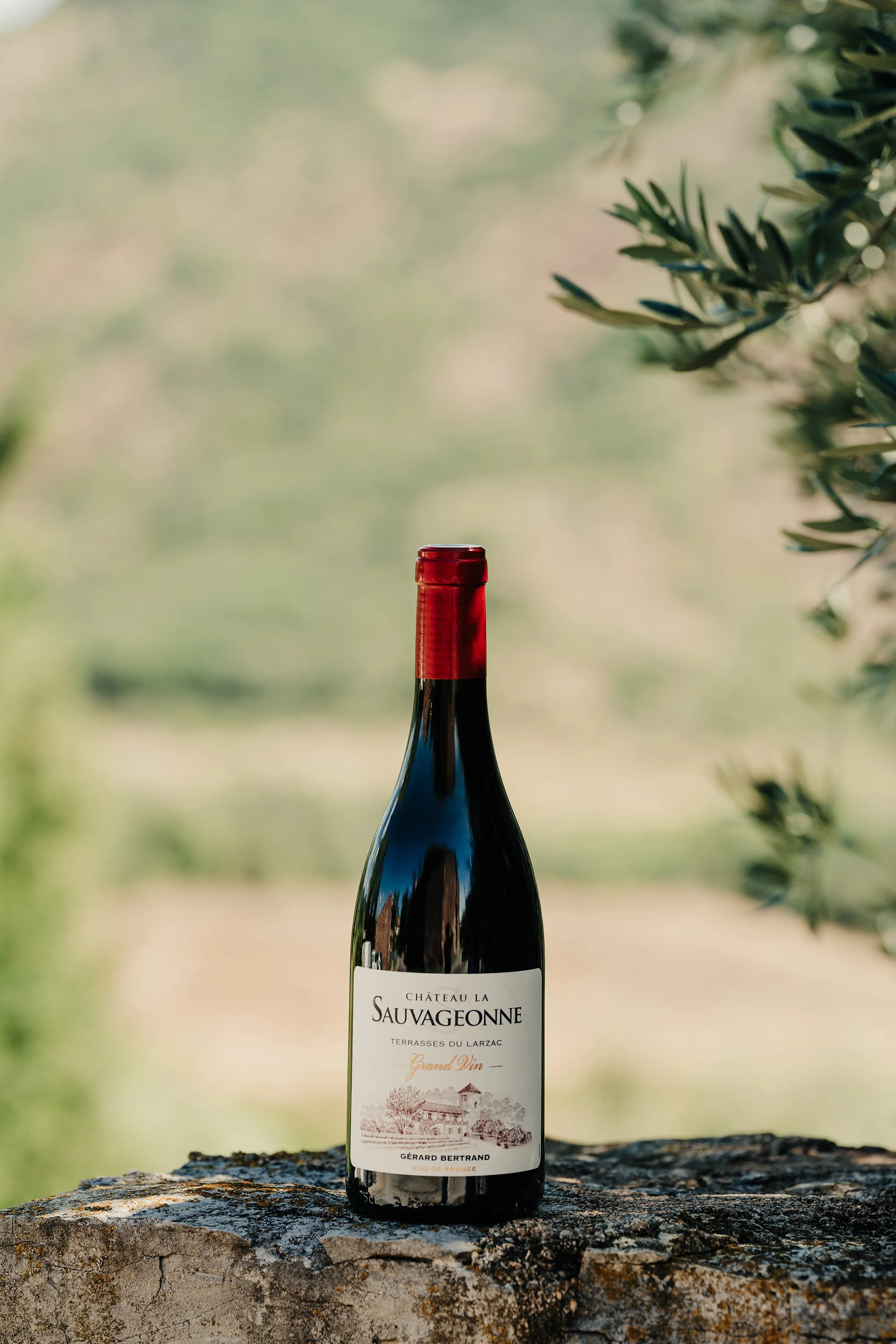 Château La Sauvageonne Grand Vin 2021 vin rouge biodynamique Terrasses du Larzac Caisse unitaire magnum 1.5L - Image 3