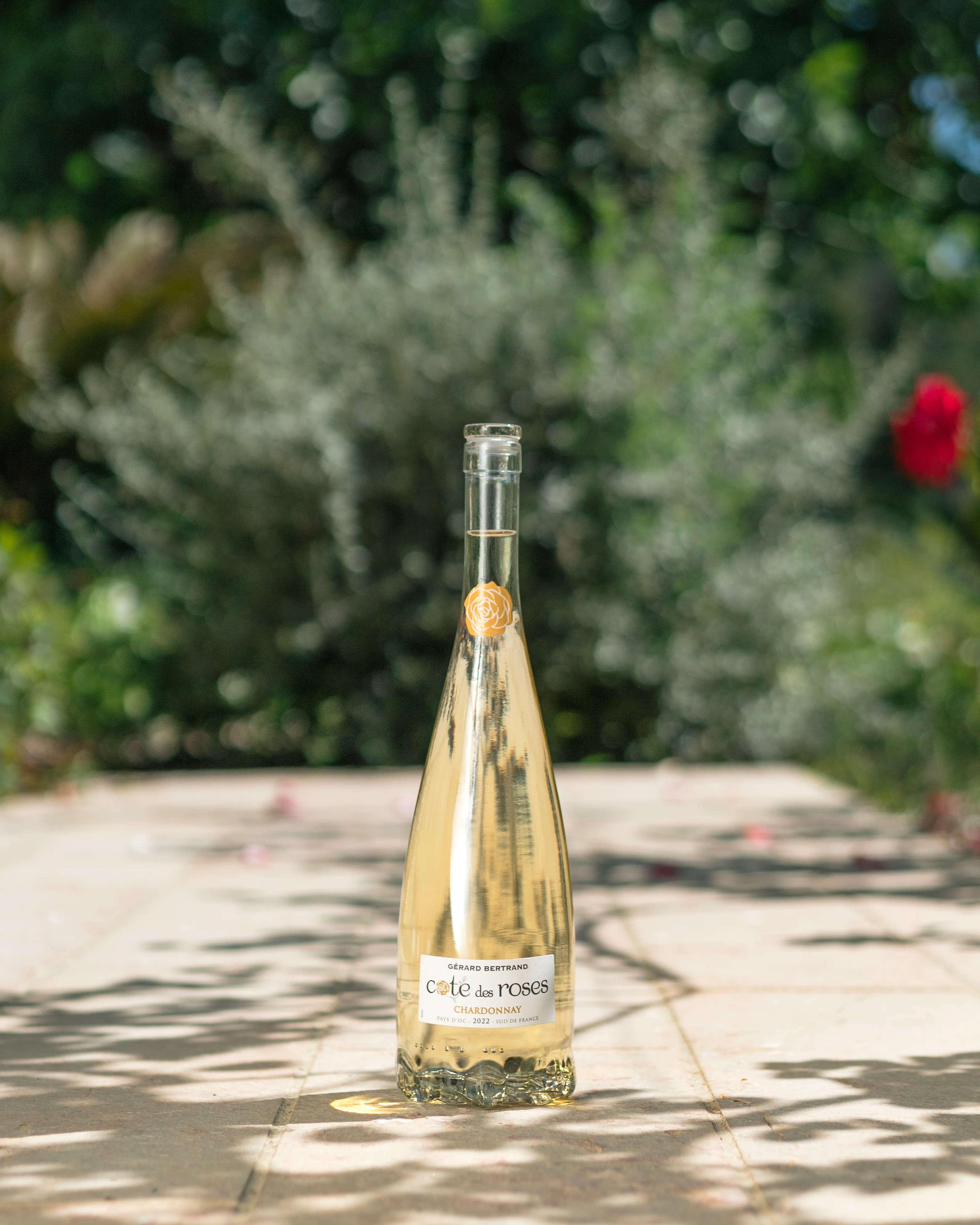 Cote des Roses chardonnay 2024 75cl vin blanc - Image 5
