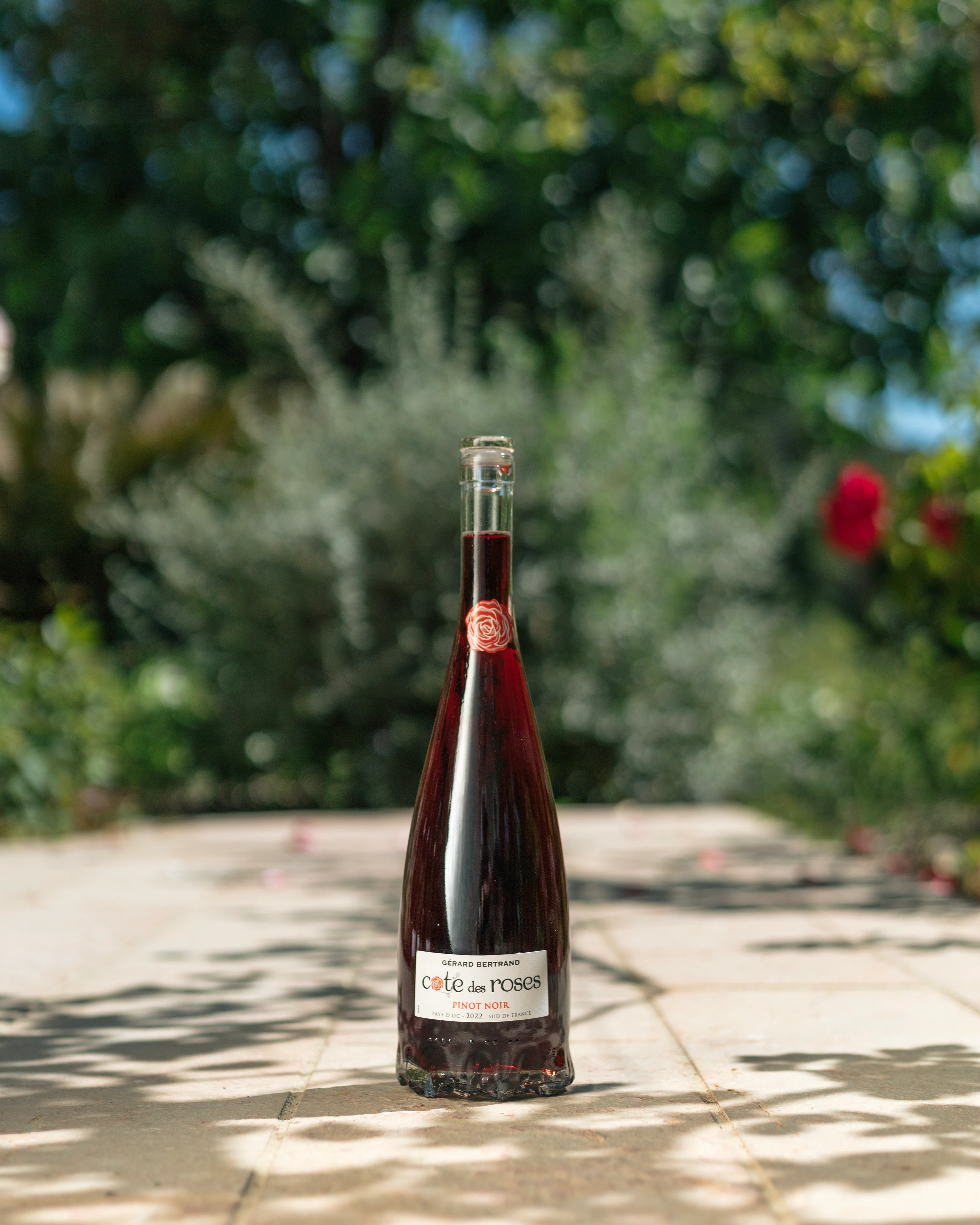 Cote des Roses Pinot noir 2023 75cl vin rouge - Image 5