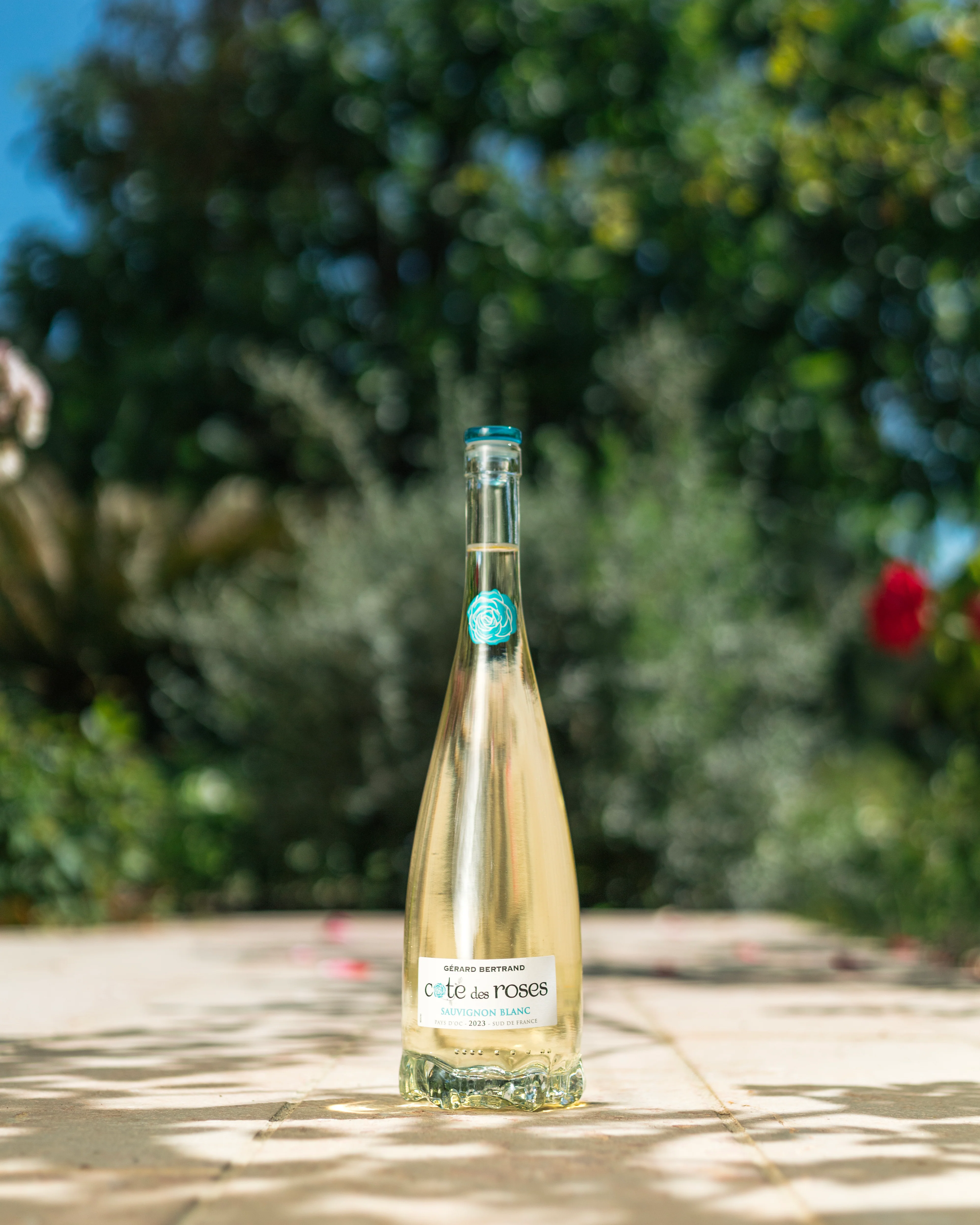 Cote des Roses Sauvignon Blanc 2024 75cl vin blanc - Image 5