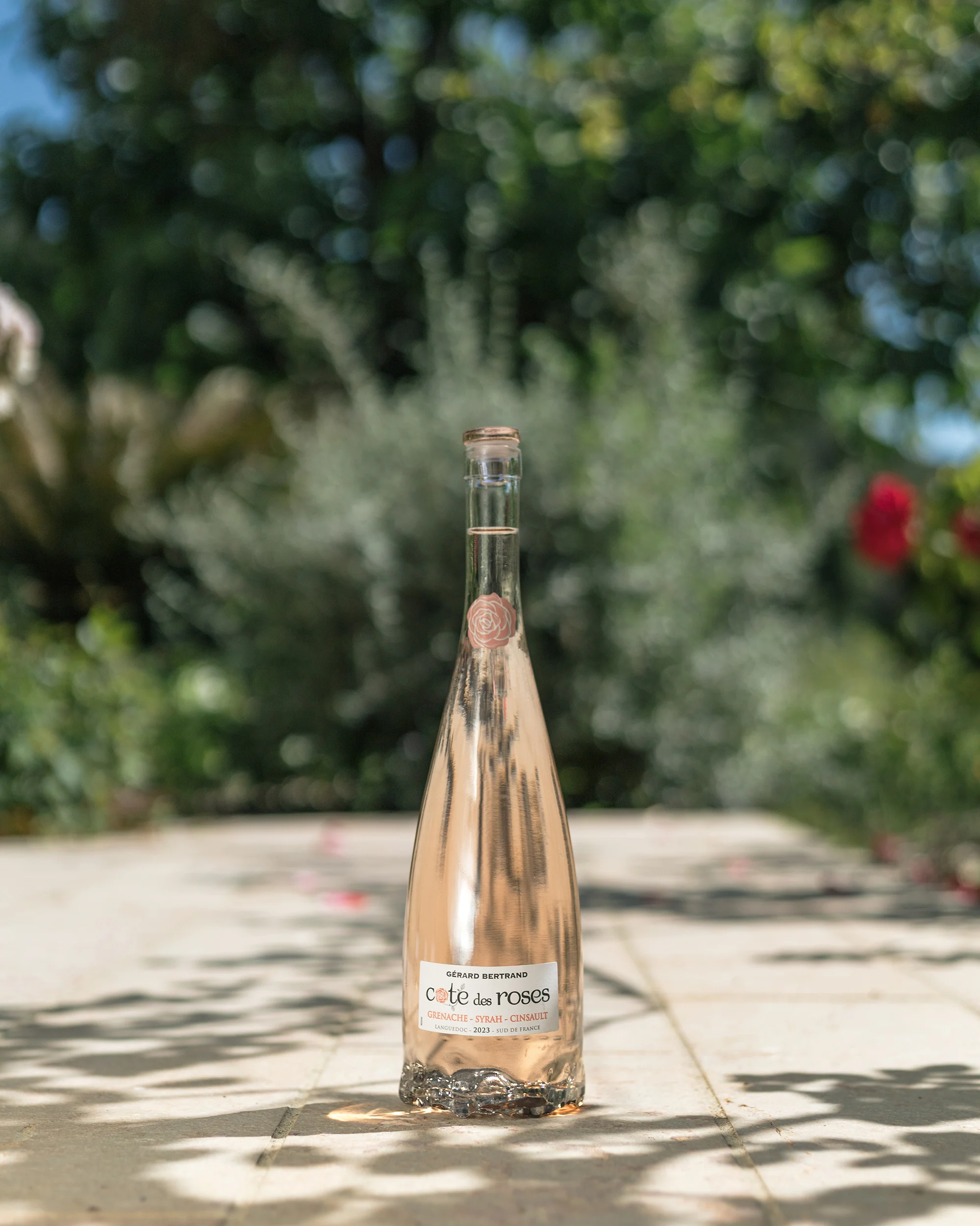 Cote des Roses rosé 2025 75cl - Image 5