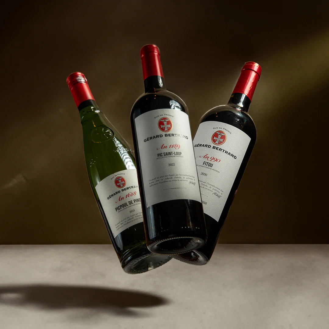 Découvrir les vins du Languedoc - Box n°1 - Image 4