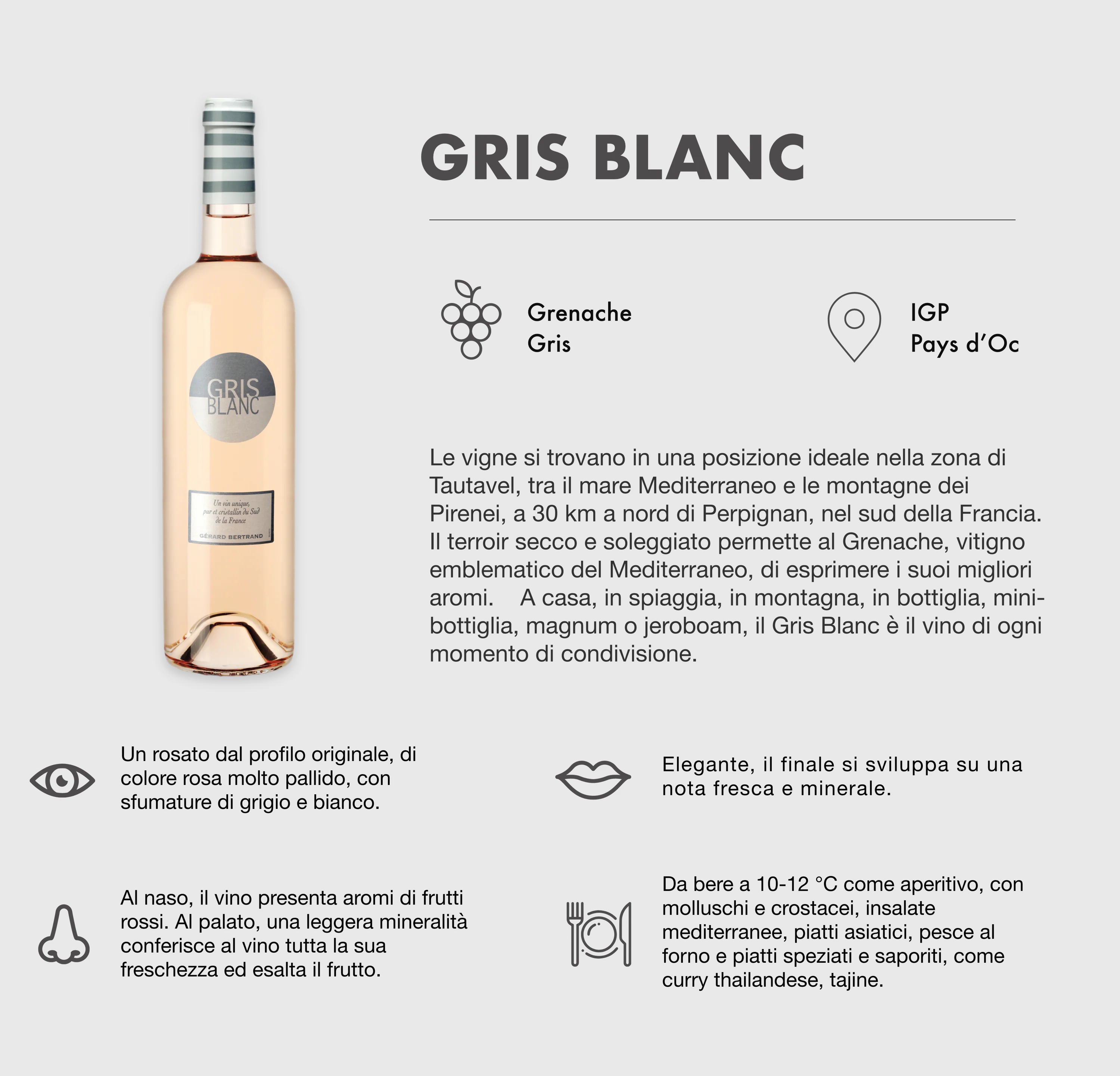 Gris Blanc 2025 vin rosé bio à vis Lot 6 Bouteilles 75cl - Image 4