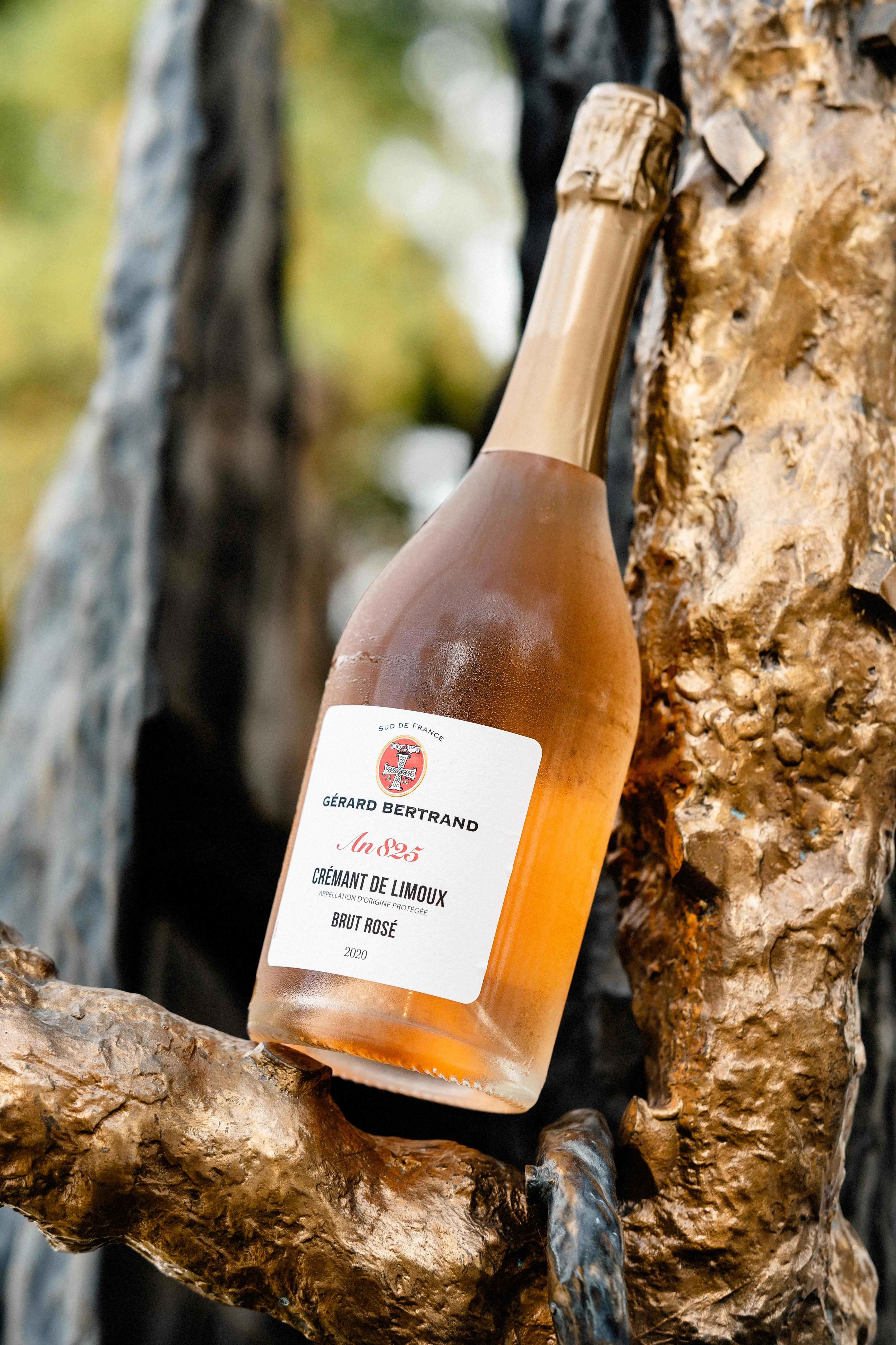 Héritage An 825 Crémant de Limoux Brut rosé 2022 75cl - Image 5