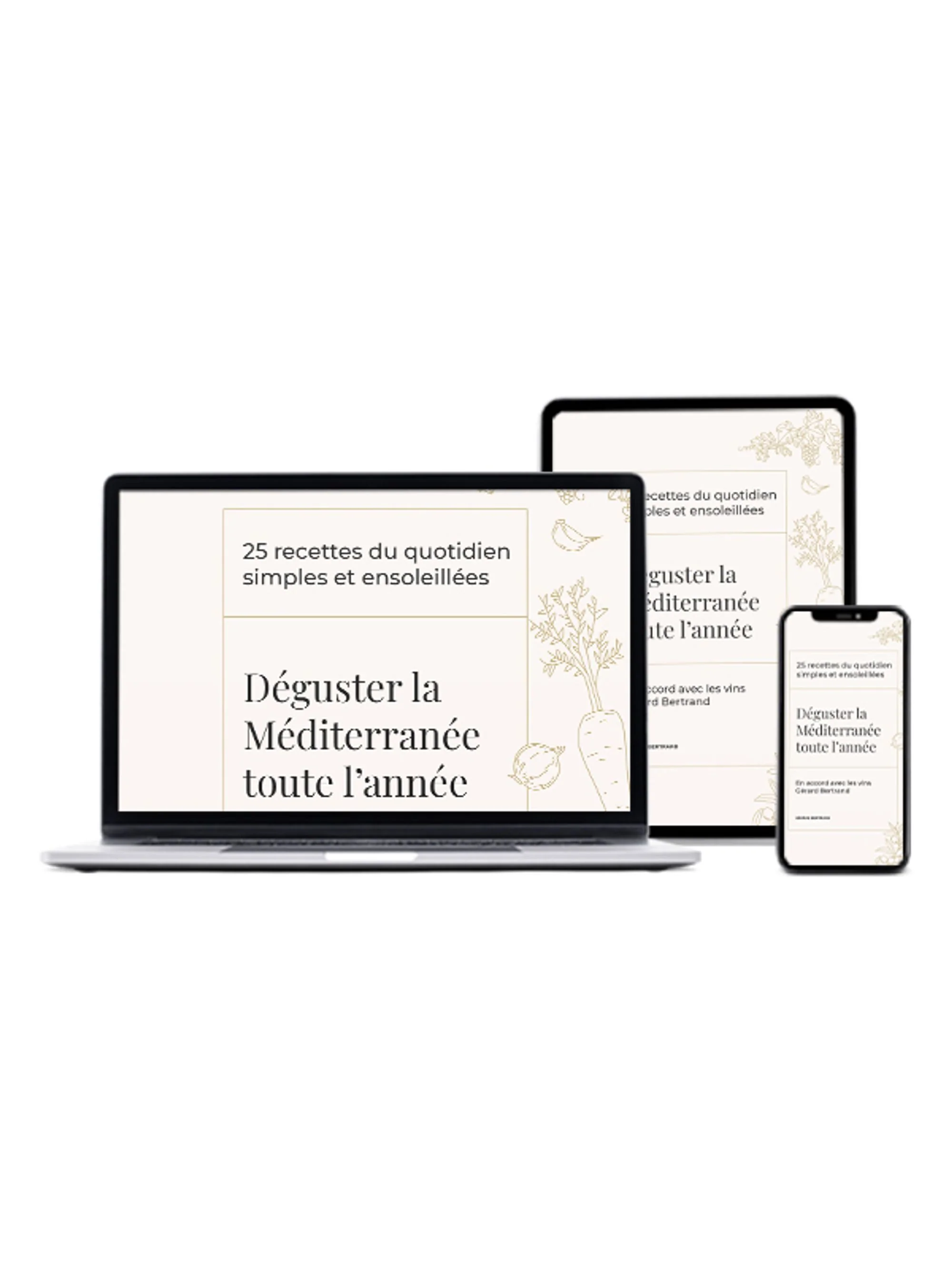 Le parfait ebook recettes du repas méditerranéen