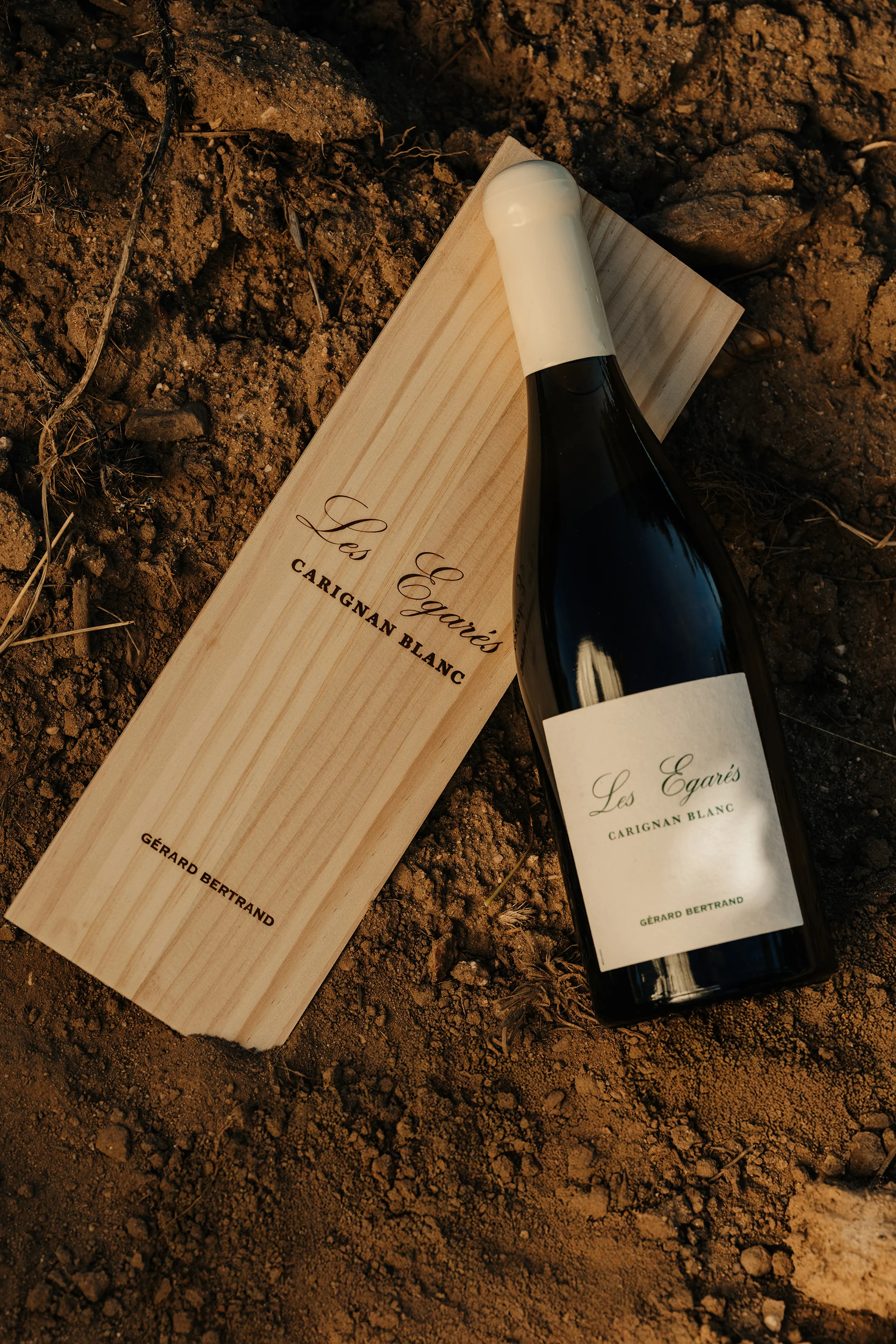Les Égarés Carignan Blanc 2023 75cl Caisse Bois Unitaire - Image 3