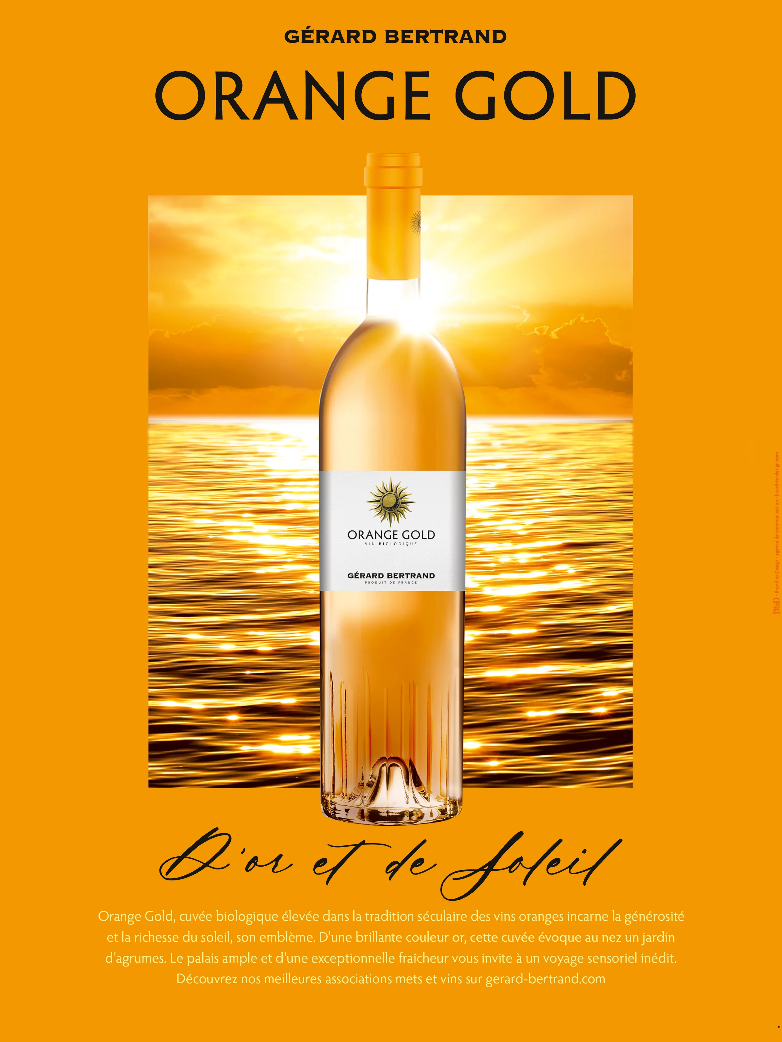 Orange Gold vin orange biologique 2023 75cl - Image 4