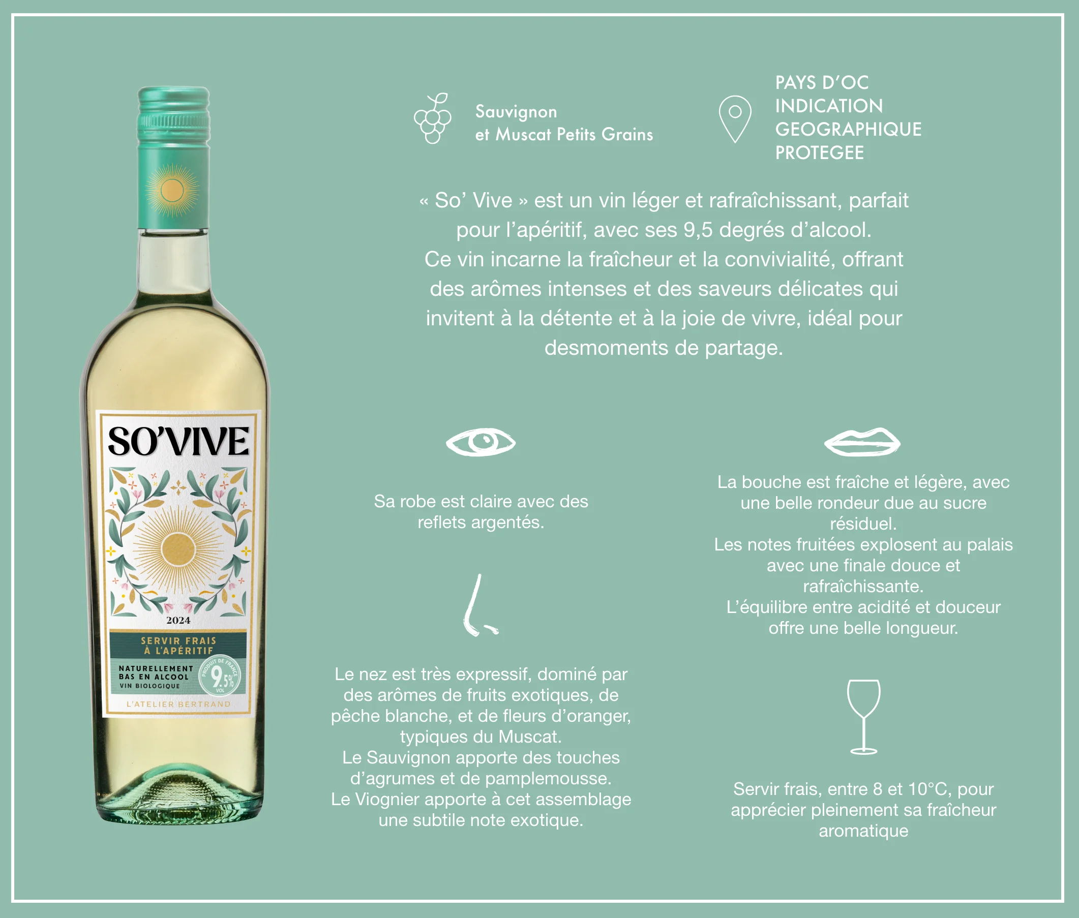So'Vive vin blanc bio Lot 6 Bouteilles 75cl - Image 4